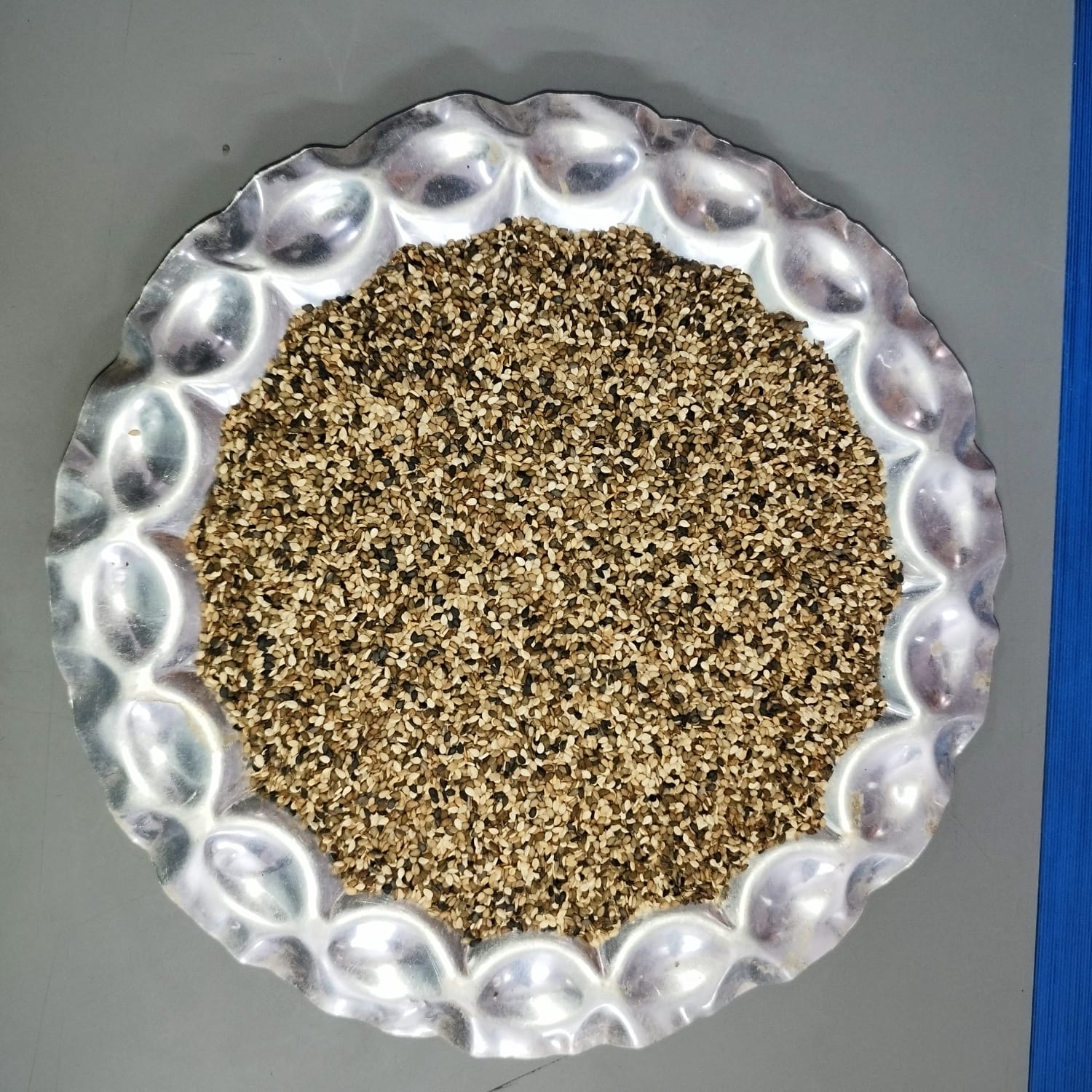 Uttraksh Pahadi Till Sesme seeds | 100% Natural 