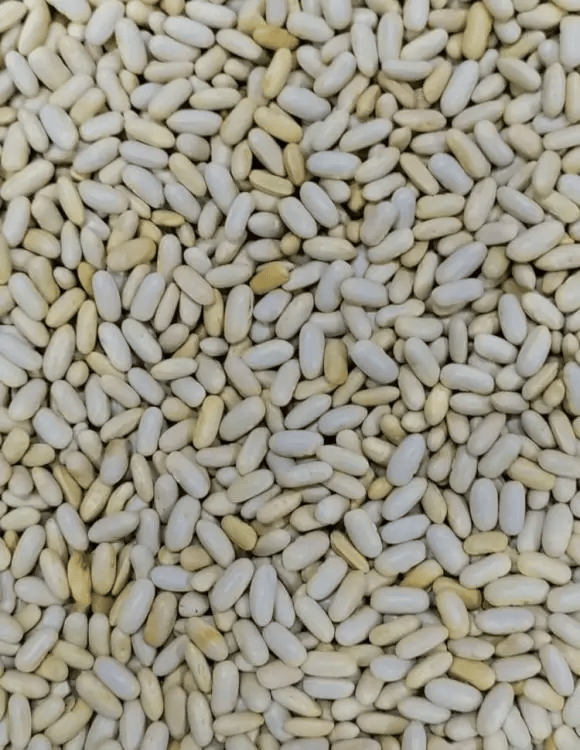 Uttraksh Munsiyari Rajma, White Kidney Beans 